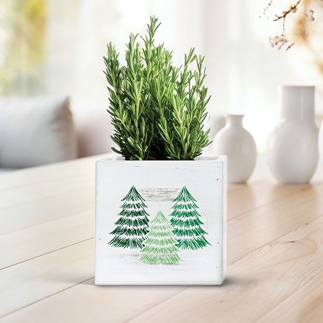 Evergreen Wooden Planter Box