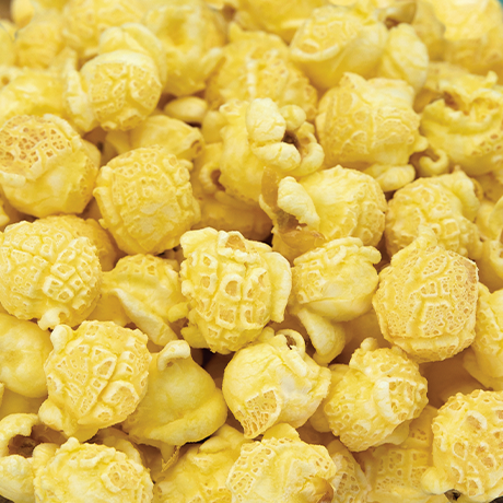 Popcorn - Salt & Vinegar - 16 cups (9.5 oz.)