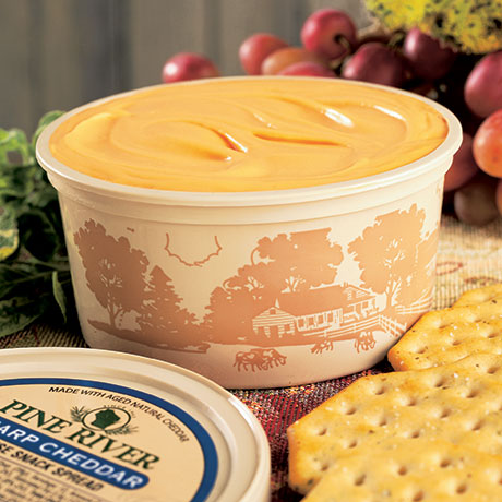 Sharp Cheddar Gourmet Cheese Snack Spread