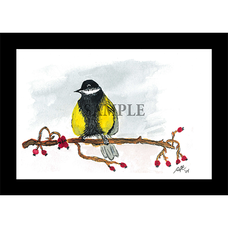 Whimsical Birds 10-pack #2