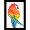 Whimsical Birds 10-pack #2