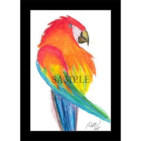 Whimsical Birds 10-pack #2