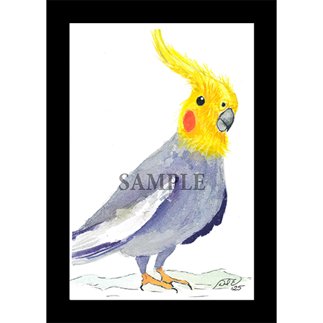 Whimsical Birds 10-pack #2
