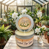 Tin 8oz - Spring Gardenia Candle
