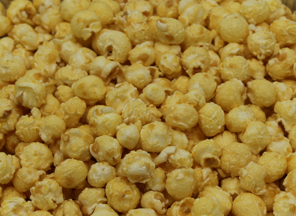 Popcorn - Kettle Corn - 16 Cups (22 oz.)