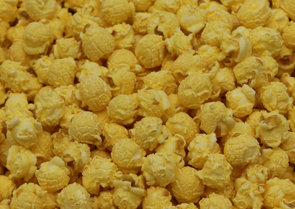 Popcorn - White Cheddar - 16 cups (9.5 oz.)